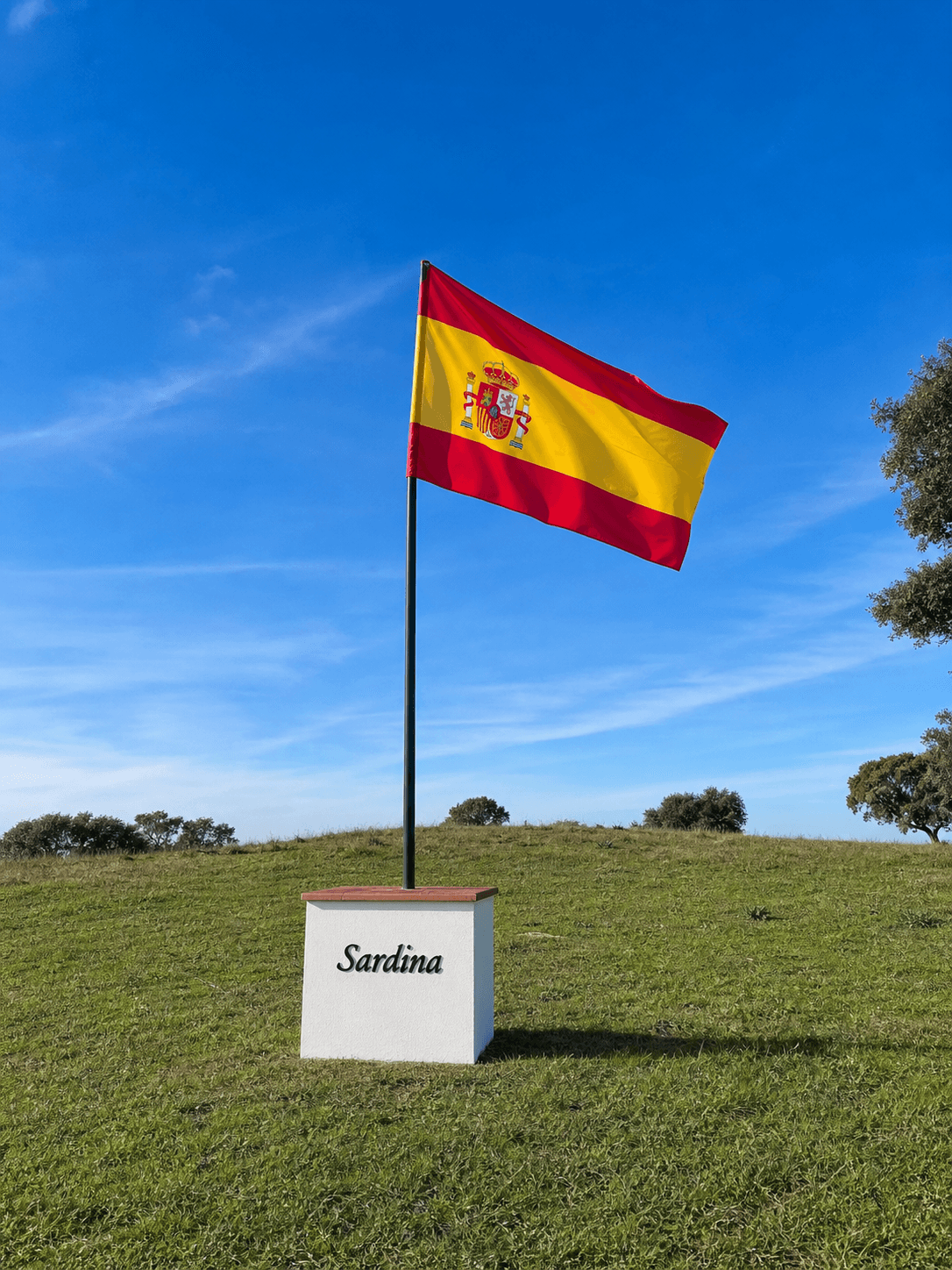 Bandera de Finca Sardina en la dehesa